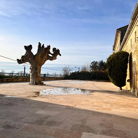 # Chateau Viticole Xvieme Avec Piscine Chauffee # 14 Personnes *