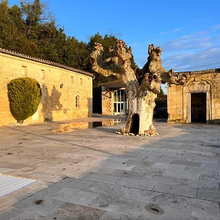 # Chateau Viticole Xvieme Avec Piscine Chauffee # 14 Personnes فيلة *